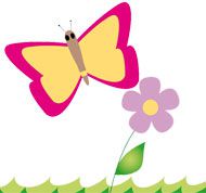 Schmetterling Schmetterling